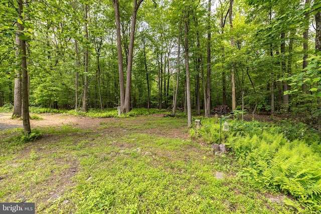 2733 Wood Ln, Morgantown, PA 19543 - view of yard featuring a wooded view