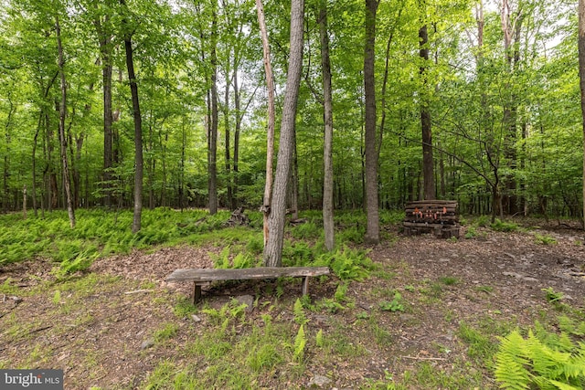 2733 Wood Ln, Morgantown, PA 19543 - view of yard featuring a wooded view