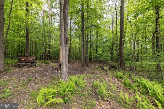2733 Wood Ln, Morgantown, PA 19543 - view of wooded area