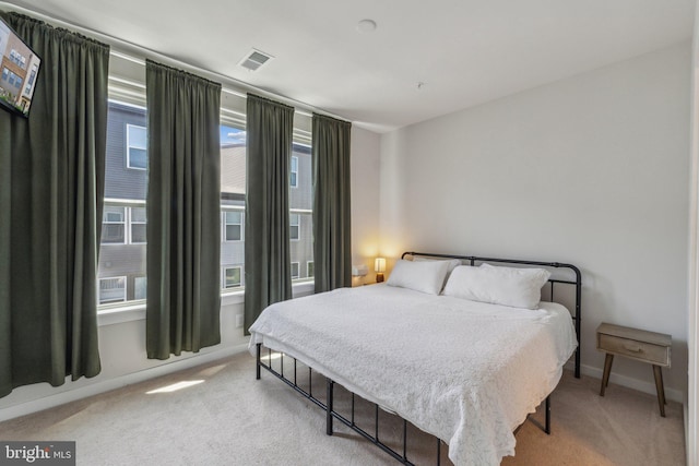 2510 Crimson Fox Dr, Hyattsville, MD 20782 - bedroom with carpet floors, multiple windows, and baseboards