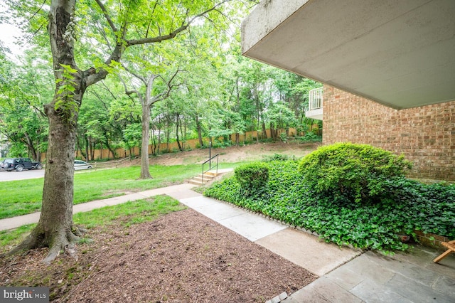 2525 Huntington Ave Unit 18, Alexandria, VA 22303 - view of yard