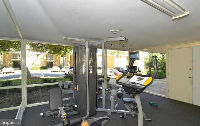 2525 Huntington Ave Unit 18, Alexandria, VA 22303 - view of workout area