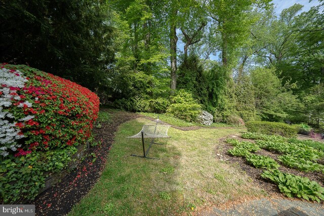 612 Manayunk Rd, Merion Station, PA 19066 - view of yard