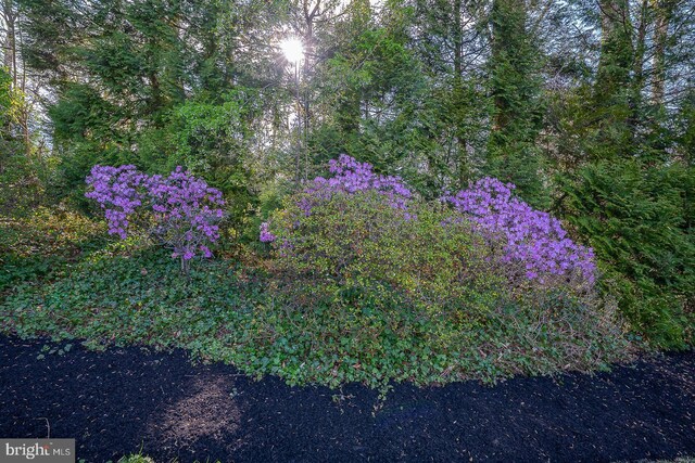 612 Manayunk Rd, Merion Station, PA 19066 - view of yard