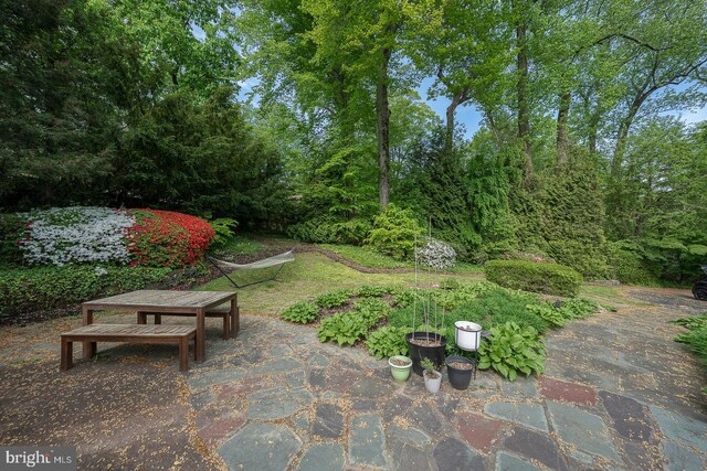 612 Manayunk Rd, Merion Station, PA 19066 - view of yard with a patio area