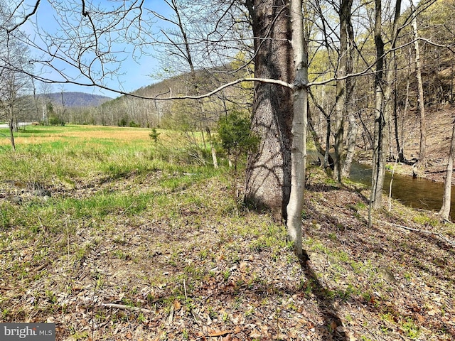 18ACS Northwestern Tpke, Burlington, WV 26710