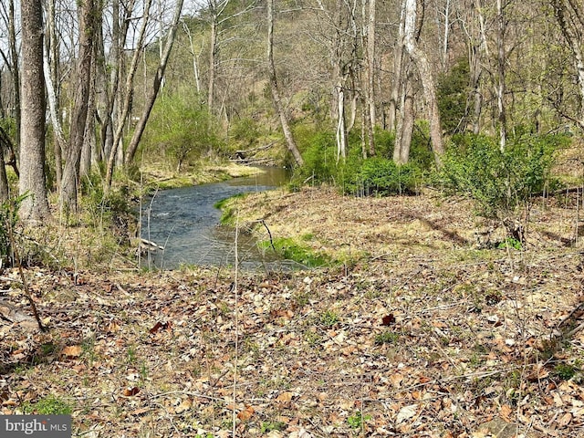 18ACS Northwestern Tpke, Burlington, WV 26710