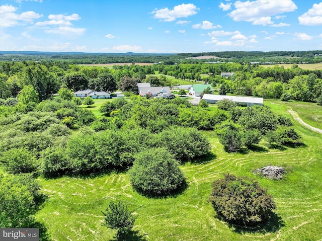 1150 S Mountain Rd, Dillsburg, PA 17019 - aerial view of a heavily wooded area