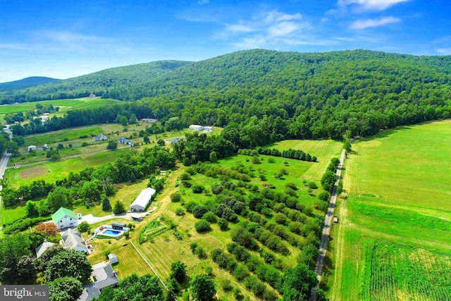 1150 S Mountain Rd, Dillsburg, PA 17019 - overview of rural landscape featuring a heavily wooded area and a mountainous background