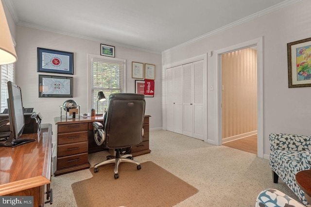 121 Eshelman Rd, Lancaster, PA 17601 - carpeted home office with crown molding and baseboards