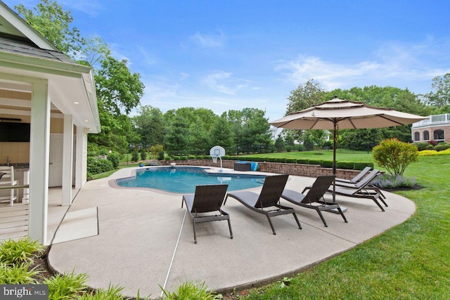 121 Eshelman Rd, Lancaster, PA 17601 - outdoor pool featuring a patio area and a yard