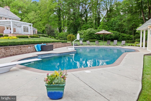 121 Eshelman Rd, Lancaster, PA 17601 - swimming pool with a patio, a diving board, and view of scattered trees