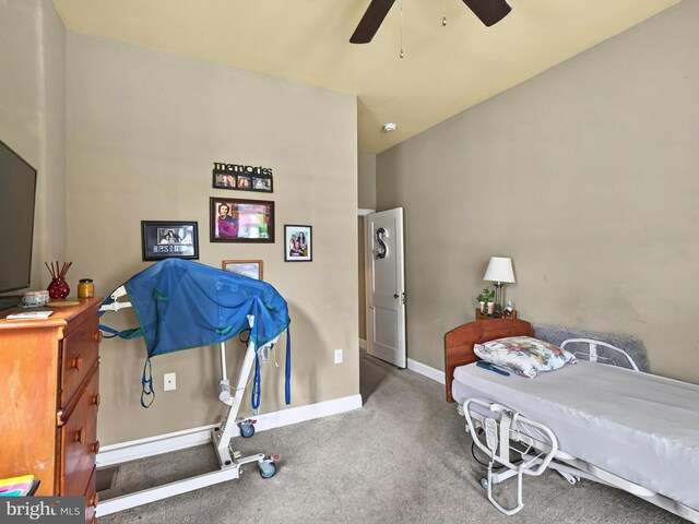225 S State St, Ephrata, PA 17522 - bedroom with baseboards, carpet flooring, and ceiling fan