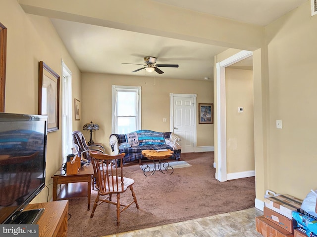 225 S State St, Ephrata, PA 17522 - carpeted living area featuring ceiling fan and baseboards