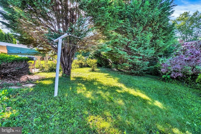 758 Rathton Rd, York, PA 17403 - view of yard