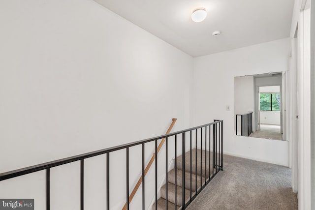 2339 Millennium Ln, Reston, VA 20191 - corridor with an upstairs landing and carpet floors
