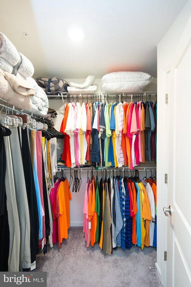 305 Shipyard Dr Unit 61, Cambridge, MD 21613 - walk in closet with carpet