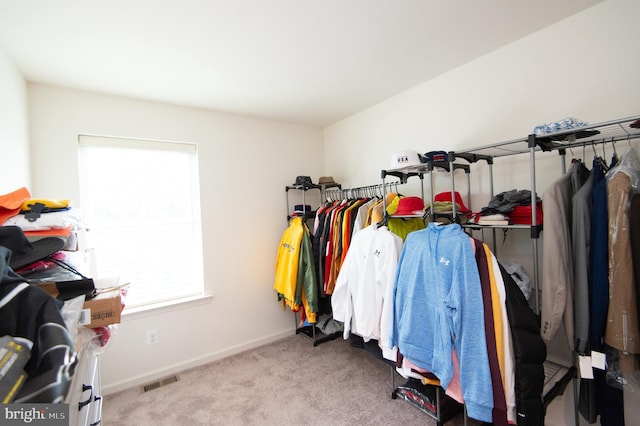 305 Shipyard Dr Unit 61, Cambridge, MD 21613 - spacious closet with carpet floors