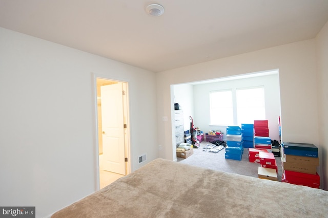 305 Shipyard Dr Unit 61, Cambridge, MD 21613 - rec room with carpet flooring