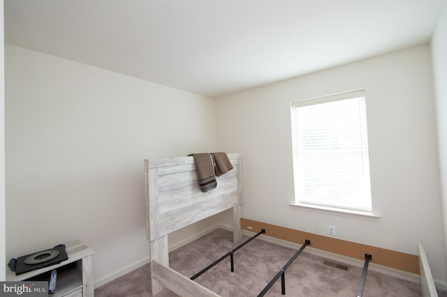 305 Shipyard Dr Unit 61, Cambridge, MD 21613 - misc room with carpet floors and baseboards
