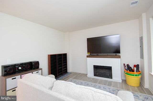 305 Shipyard Dr Unit 61, Cambridge, MD 21613 - living room featuring wood finished floors, a fireplace, and electric panel