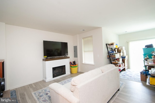 305 Shipyard Dr Unit 61, Cambridge, MD 21613 - living room with light wood finished floors, a glass covered fireplace, and electric panel