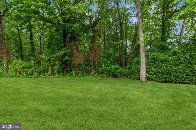 136 Chalkboard Ct, Moorestown, NJ 08057 - view of green lawn