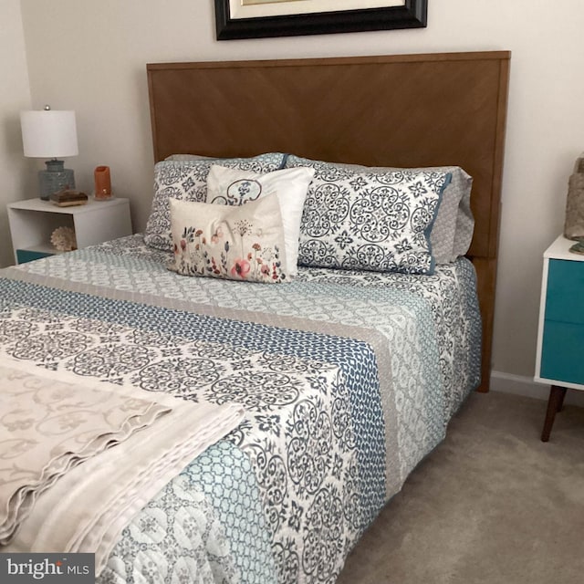 212 Bowline Dr, Cambridge, MD 21613 - view of carpeted bedroom