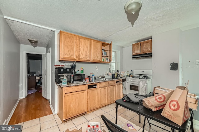2572 Mcculloh St, Baltimore, MD 21217 - kitchen with white gas range oven, a sink, open shelves, light tile patterned flooring, and under cabinet range hood