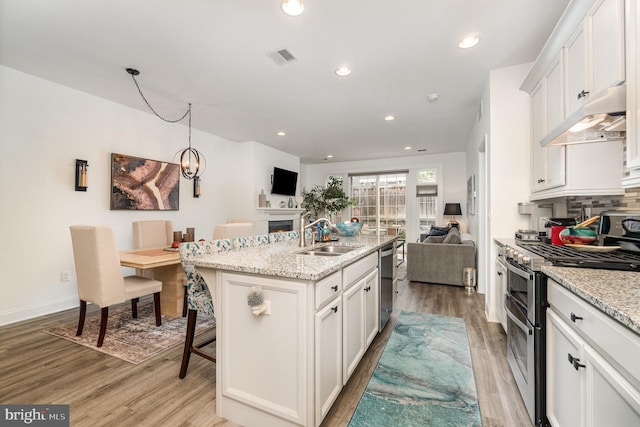 3209 Haley Way, Mechanicsburg, PA 17055 - kitchen featuring appliances with stainless steel finishes, a sink, open floor plan, under cabinet range hood, and light wood-style flooring