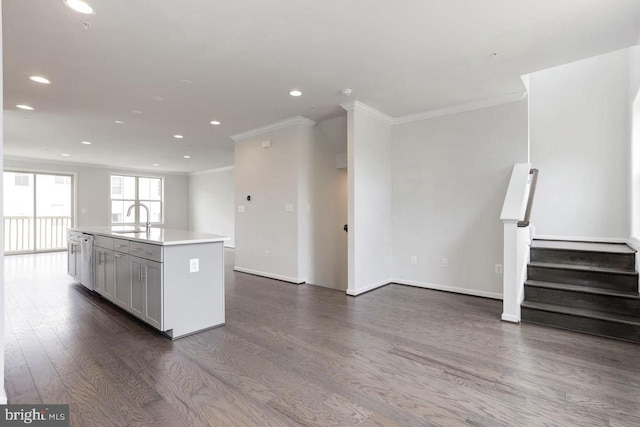 11 Blue Jay Way, Clarksburg, MD 20871 - kitchen with ornamental molding, dark wood-style flooring, a sink, open floor plan, and light countertops