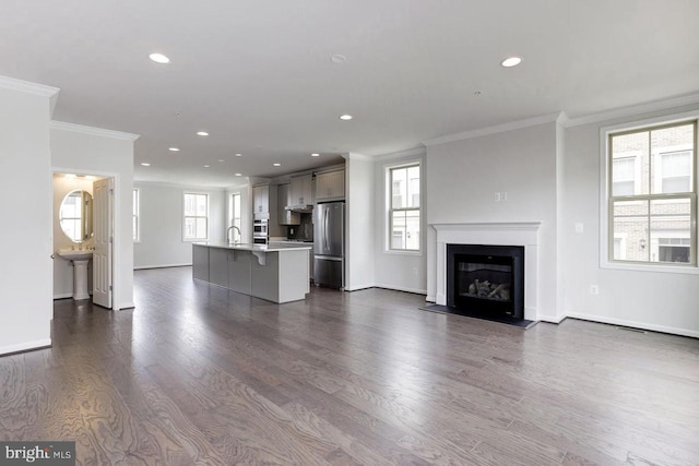 11 Blue Jay Way, Clarksburg, MD 20871 - unfurnished living room featuring recessed lighting, dark wood finished floors, crown molding, a sink, and a fireplace with flush hearth