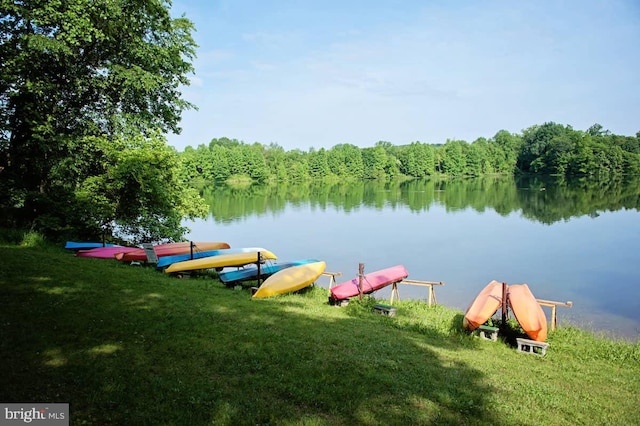 11 Blue Jay Way, Clarksburg, MD 20871 - dock with a water view, a lawn, and a forest view