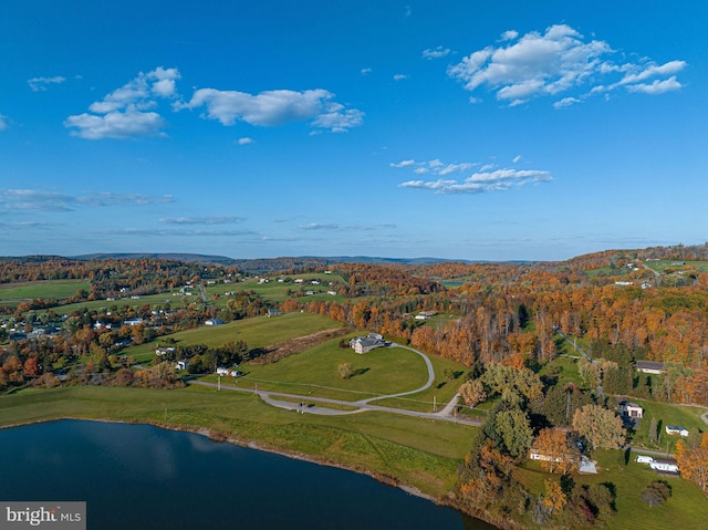 1874 Roundtop Rd, Wellsboro, PA 16901 - drone / aerial view of a large body of water