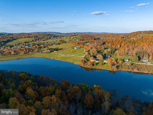 1874 Roundtop Rd, Wellsboro, PA 16901 - aerial view of property's location with a forest and a large body of water