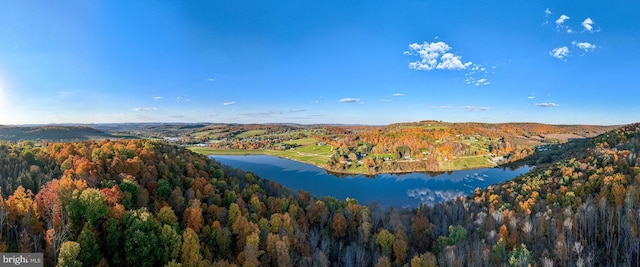 1874 Roundtop Rd, Wellsboro, PA 16901 - view of mountain background with a heavily wooded area and a large body of water