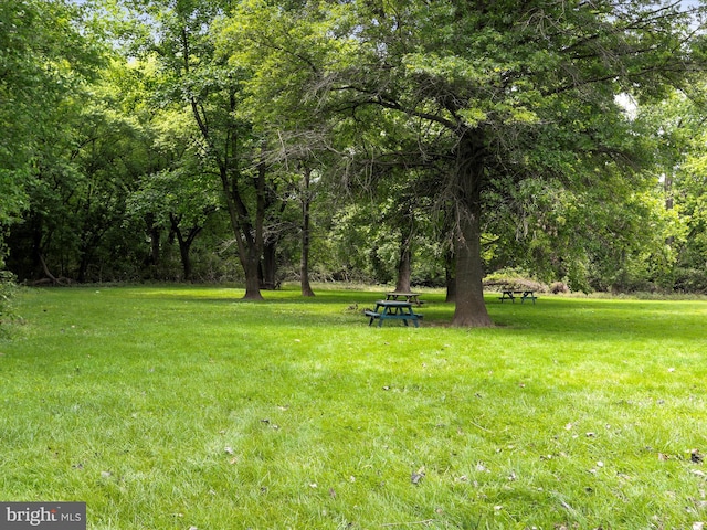 25 E Potomac St, Williamsport, MD 21795 - view of grassy yard