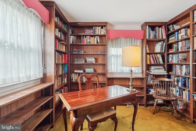 140 Ardmore Ave, Haddonfield, NJ 08033 - carpeted home office featuring bookshelves
