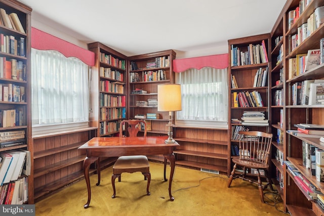 140 Ardmore Ave, Haddonfield, NJ 08033 - carpeted home office featuring bookshelves and healthy amount of natural light
