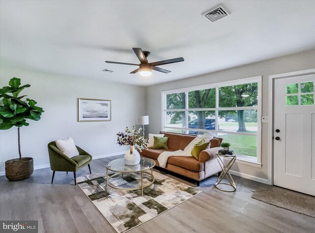 6985 Old Harrisburg Rd, York Springs, PA 17372 - living room with wood finished floors, baseboards, and plenty of natural light