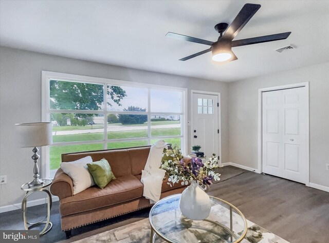 6985 Old Harrisburg Rd, York Springs, PA 17372 - living room with ceiling fan, wood finished floors, and baseboards