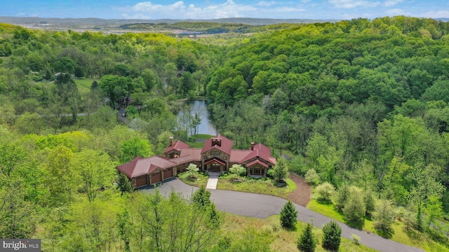 2042 Folk Rd, Fogelsville, PA 18051 - view of subject property with a heavily wooded area and a large body of water