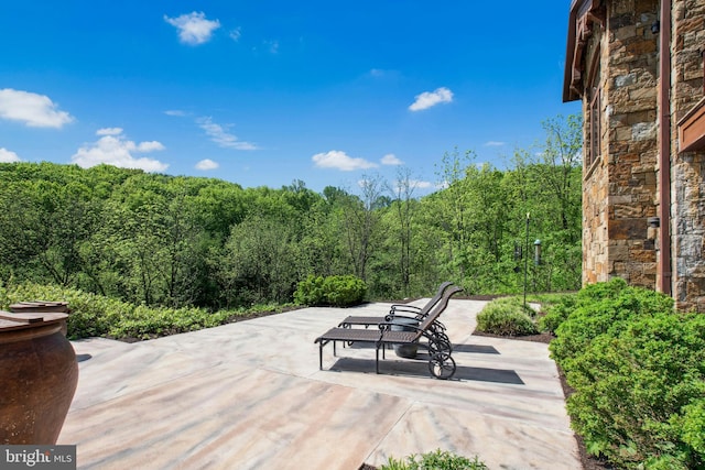 2042 Folk Rd, Fogelsville, PA 18051 - view of patio / terrace with a forest view
