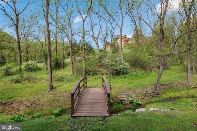 2042 Folk Rd, Fogelsville, PA 18051 - view of community