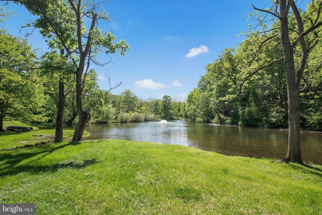 2042 Folk Rd, Fogelsville, PA 18051 - water view with a heavily wooded area