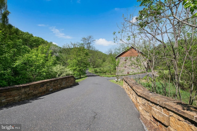 2042 Folk Rd, Fogelsville, PA 18051 - view of asphalt road featuring a wooded view