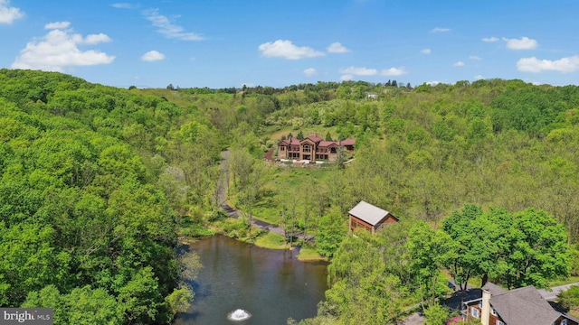 2042 Folk Rd, Fogelsville, PA 18051 - drone / aerial view of a forest and a nearby body of water