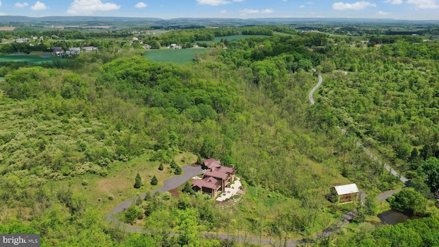 2042 Folk Rd, Fogelsville, PA 18051 - drone / aerial view of a heavily wooded area