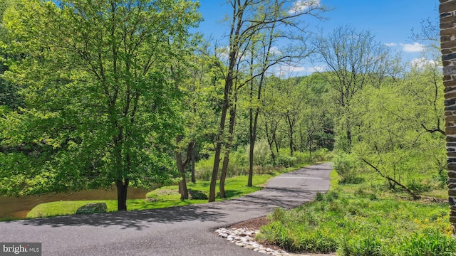 2042 Folk Rd, Fogelsville, PA 18051 - surrounding community featuring a view of trees
