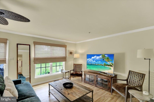 159 Waterford Ln, Reading, PA 19606 - living room featuring ornamental molding, light wood finished floors, and baseboards